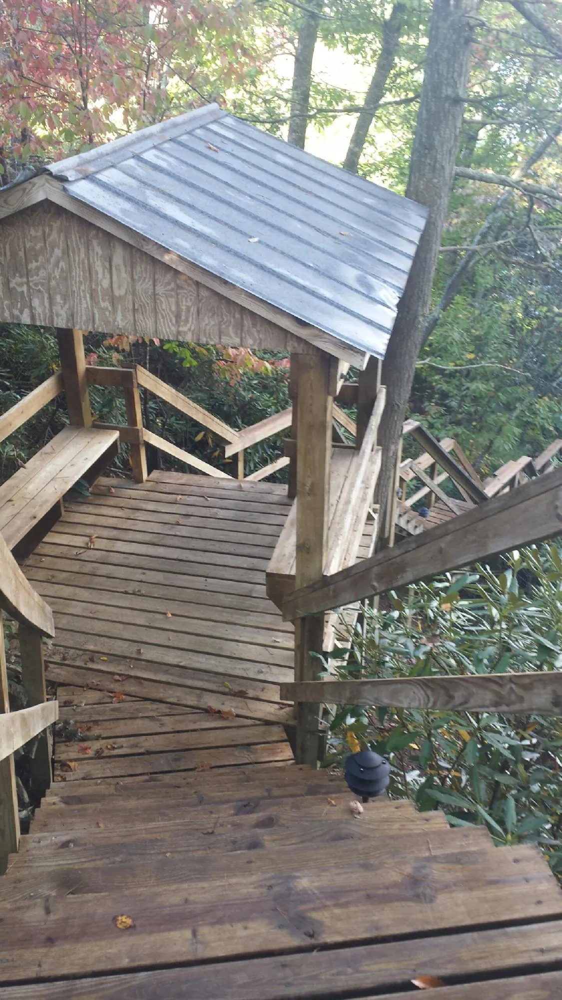 Metal roofed shelter over wooden steps on a wooded walkway — Skylight Repair & Installation work by our crew in Harbeson